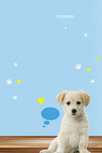 高清小清新寵物營養(yǎng)狗糧海報(bào)素材下載