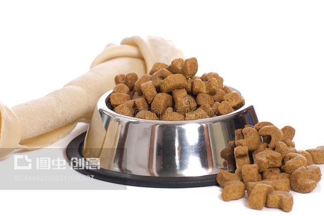 寵物食品 科學(xué)喂養(yǎng)與健康選擇